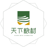 大鸡巴艹骚逼视频